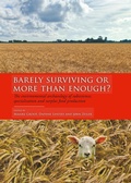 Cover: Barely Surviving or More than Enough? - Sidestone Press