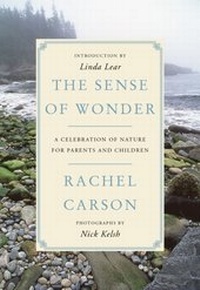 Abbildung von: The Sense of Wonder - HarperCollins