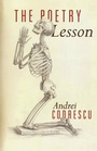 Cover: The Poetry Lesson - Princeton University Press