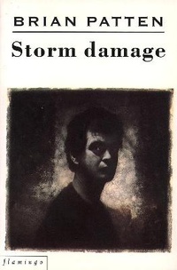 Enlarge image Cover: Storm Damage - Flamingo