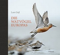 Abbildung von: Die Watvögel Europas - Haupt Verlag