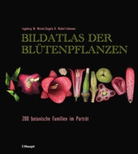 Abbildung von: Bildatlas der Blütenpflanzen - Haupt Verlag