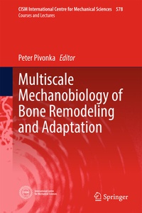 Abbildung von: Multiscale Mechanobiology of Bone Remodeling and Adaptation - Springer