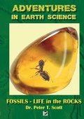Cover: Fossils- Life in the Rocks - Felix Publishing
