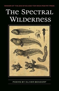 Enlarge image Cover: Spectral Wilderness - The Kent State University Press