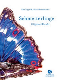 Abbildung von: Schmetterlinge - Elisabeth Sandmann Verlag