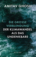Cover: Die gro&szlig;e Verblendung - Blessing