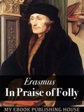 Cover: In Praise of Folly - SC Active Business Development SRL