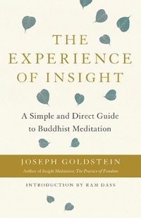 Enlarge image Cover: The Experience of Insight - Shambhala