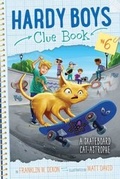 Cover: A Skateboard Cat-astrophe - Aladdin