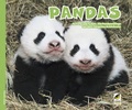 Cover: Pandas - Kiko Verlag