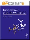 Cover: Encyclopedia of Neuroscience - Academic Press