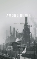 Cover: Among Ruins - University of Notre Dame Press