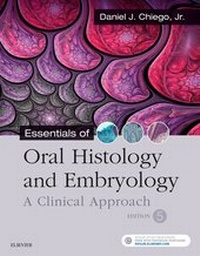 Abbildung von: Essentials of Oral Histology and Embryology E-Book - Elsevier