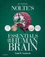 Cover: Nolte's Essentials of the Human Brain E-Book - Elsevier
