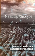 Cover: Needle // Shards - Emp