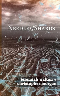Enlarge image Cover: Needle // Shards - Emp