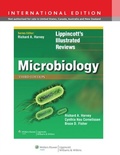 Cover: Microbiology - WOLTERS KLUWER HEALTH