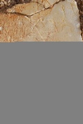 Cover: Scribbling through History - Bloomsbury Academic