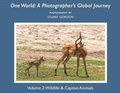 Cover: One World: A Photographer's Global Journey - Bookbaby