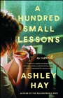 Cover: A Hundred Small Lessons - Washington Square Press