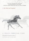 Cover: A Train through Time - Counterpoint