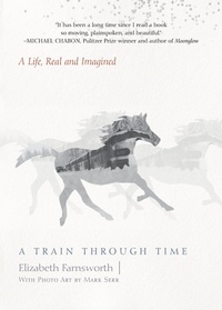 Enlarge image Cover: A Train through Time - Counterpoint