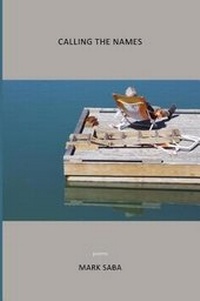 Enlarge image Cover: Calling the Names - David Robert Books