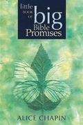 Cover: The Little Book of Big Bible Promises - Tyndale House Publishers