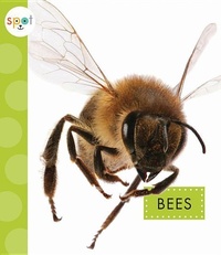 Enlarge image Cover: Bees - Amicus Ink