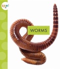 Cover: Worms - Amicus Ink