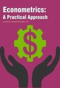 Cover: Econometrics: A Practical Approach - Koros Press Limited