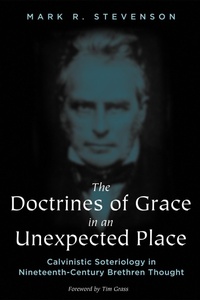 Enlarge image Cover: The Doctrines of Grace in an Unexpected Place - Wipf and Stock Publishers