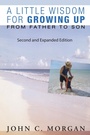 Cover: A Little Wisdom for Growing Up, Second and Expanded Edition - Wipf and Stock Publishers