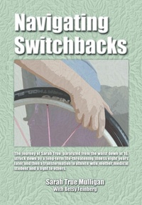 Enlarge image Cover: Navigating Switchbacks - Book Services US