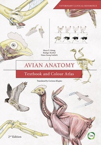 Abbildung von: Avian Anatomy 2nd Edition - 5M Books Ltd