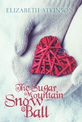 Cover: Sugar Mountain Snow Ball - Islandport Press