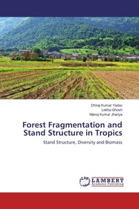 Enlarge image Cover: Forest Fragmentation and Stand Structure in Tropics - LAP Lambert Academic Publishing