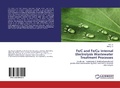Cover: Fe/C and Fe/Cu Internal Electrolysis Wastewater Treatment Processes - LAP Lambert Academic Publishing