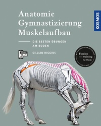Abbildung von: Anatomie, Gymnastizierung, Muskelaufbau - Kosmos