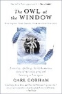 Cover: The Owl at the Window - Coronet Books
