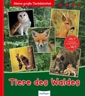 Cover: Meine gro&szlig;e Tierbibliothek: Tiere des Waldes - Esslinger