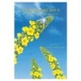 Cover: As Chance Would Have It - C W Daniel Co Ltd