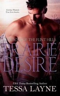 Enlarge image Cover: Prairie Desire - Shady Layne Media