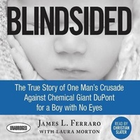 Enlarge image Cover: Blindsided - Gildan Audio