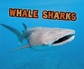 Cover: All About Sharks Pack A of 4 - Raintree
