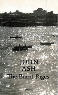 Abbildung von: The Burnt Pages - Carcanet Press Ltd