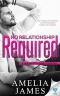 Cover: No Relationship Required - Limitless Publishing, LLC