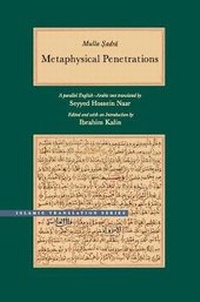 Enlarge image Cover: Metaphysical Penetrations - Brigham Young University Press