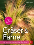 Cover: Gr&auml;ser und Farne - BLV